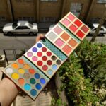 پالت سایه و رژگونه کتابی آووکادو coco urban